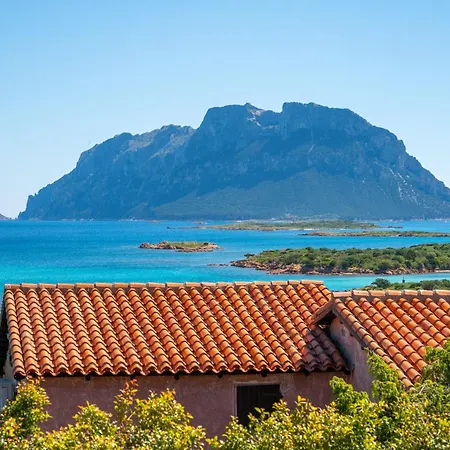 Cactus, Costa Corallina Semesterbostad Olbia