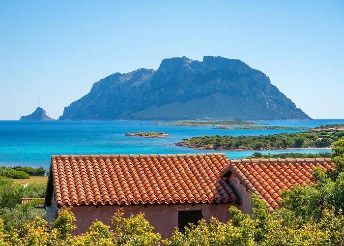 Cactus, Costa Corallina Сasa de vacaciones Olbia