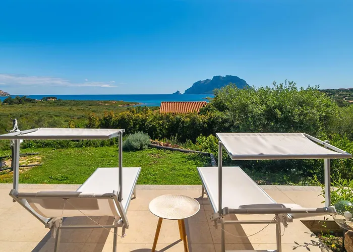 Cactus, Costa Corallina Semesterbostad Olbia