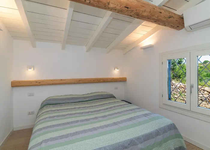 Cactus, Costa Corallina Olbia