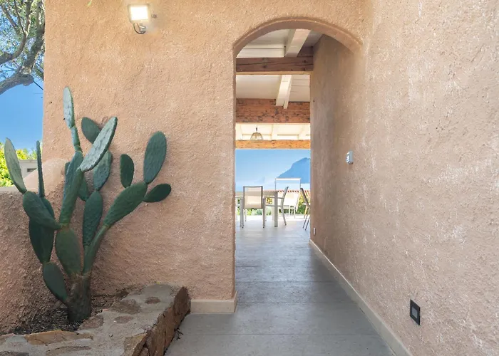 Cactus, Costa Corallina